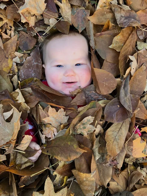 m in leaves.jpg