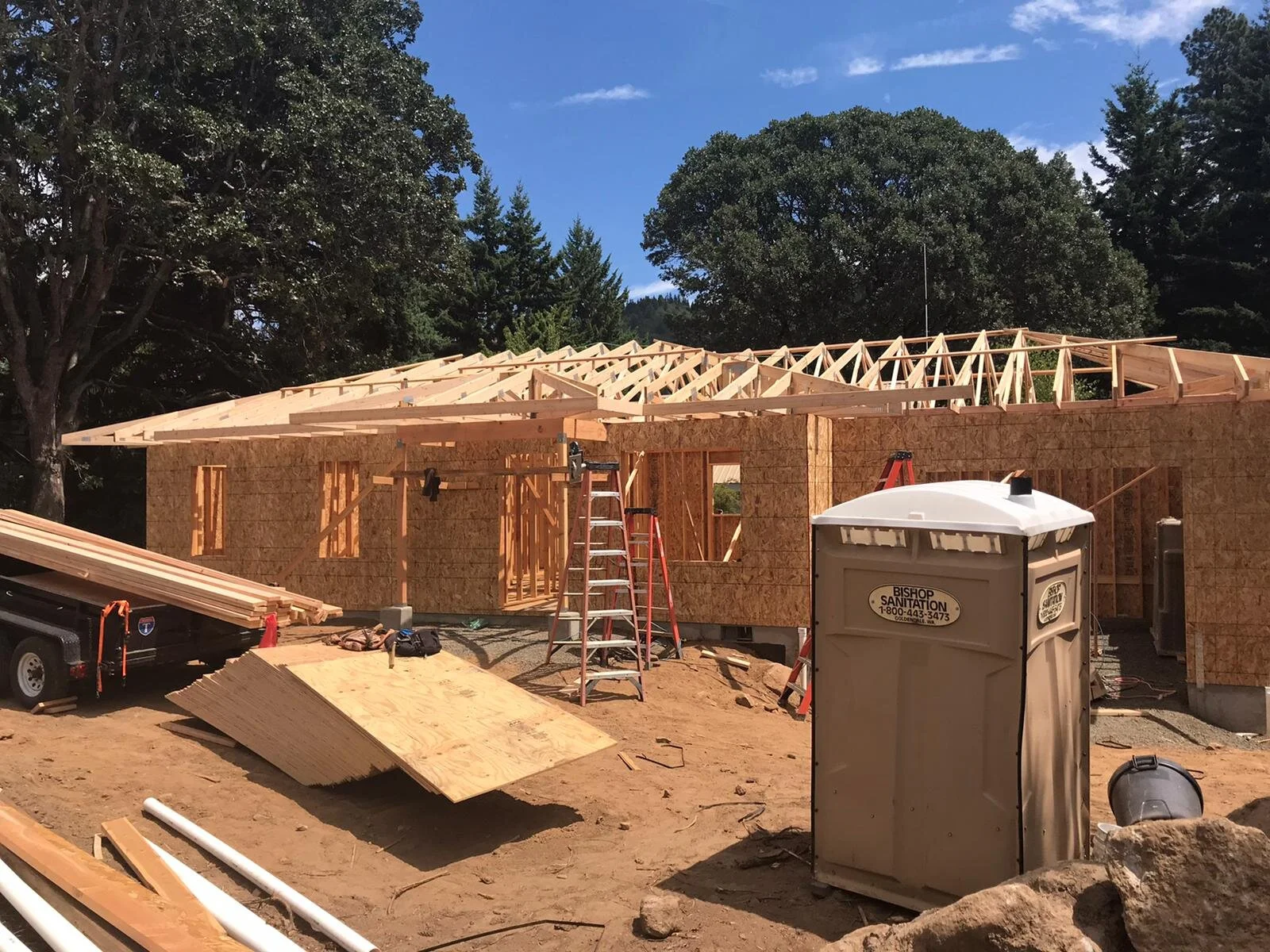 WhatsApp Image 2020-08-12 at 12.51.37 PM.jpeg