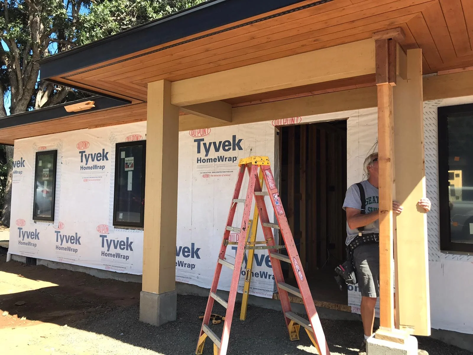 WhatsApp Image 2020-08-12 at 12.54.03 PM.jpeg