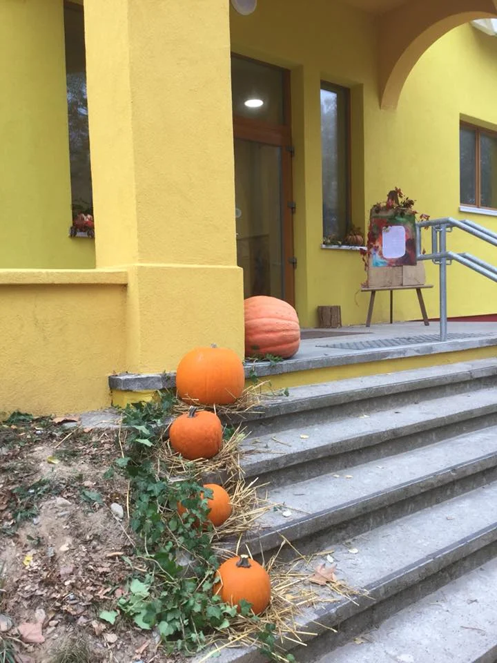 Image courtesy Ecole-Steiner Haut Alsace