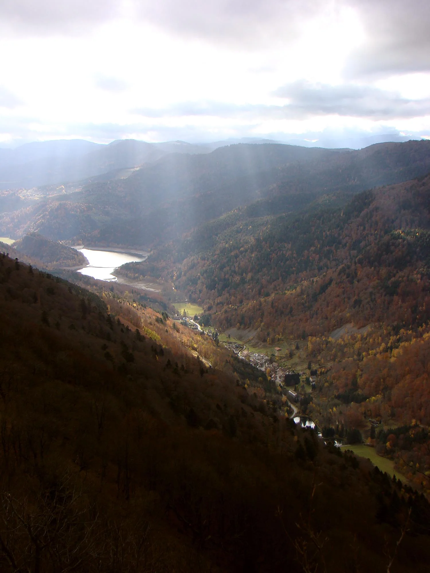 Lake_view.jpg
