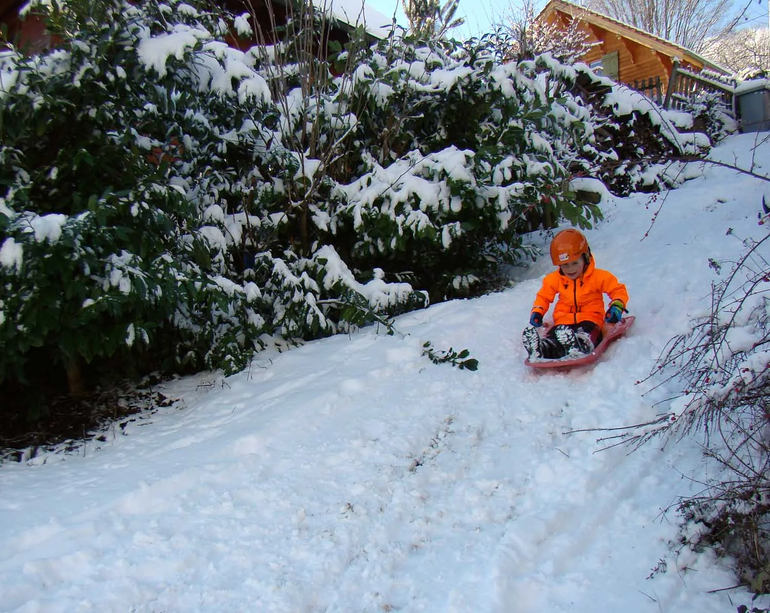 Silas in our backyard