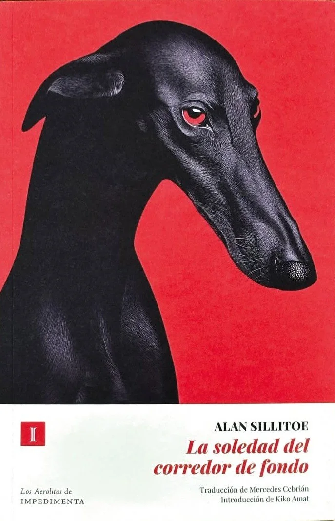 Su portada es de i.a., ooobvio, pero es linda