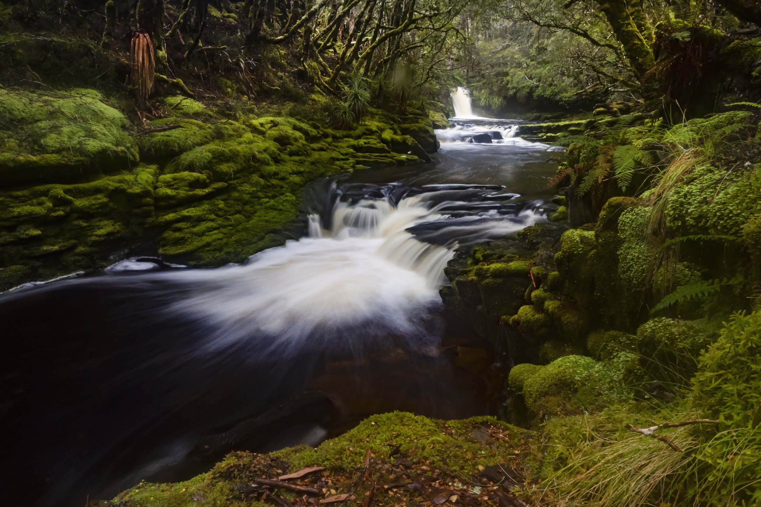 TASMANIA