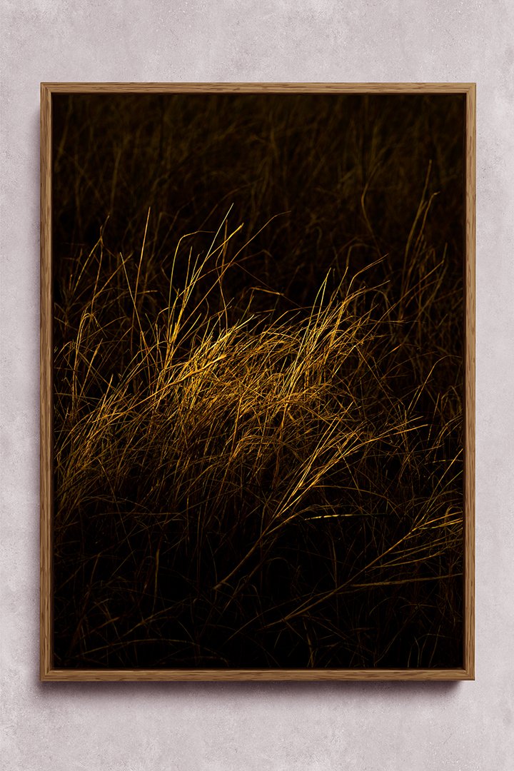 BEACH GRASSES - ONE OF ONE