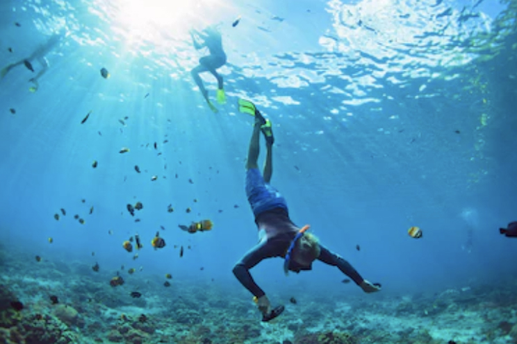 diving.jpg