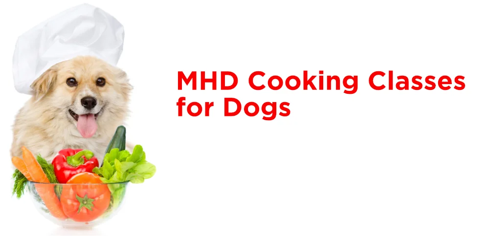 1000 mhd cooking classes for dogs.jpg