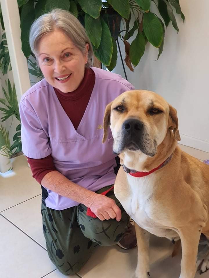 Contact Us — Rosemary's House for Dogs & Cats