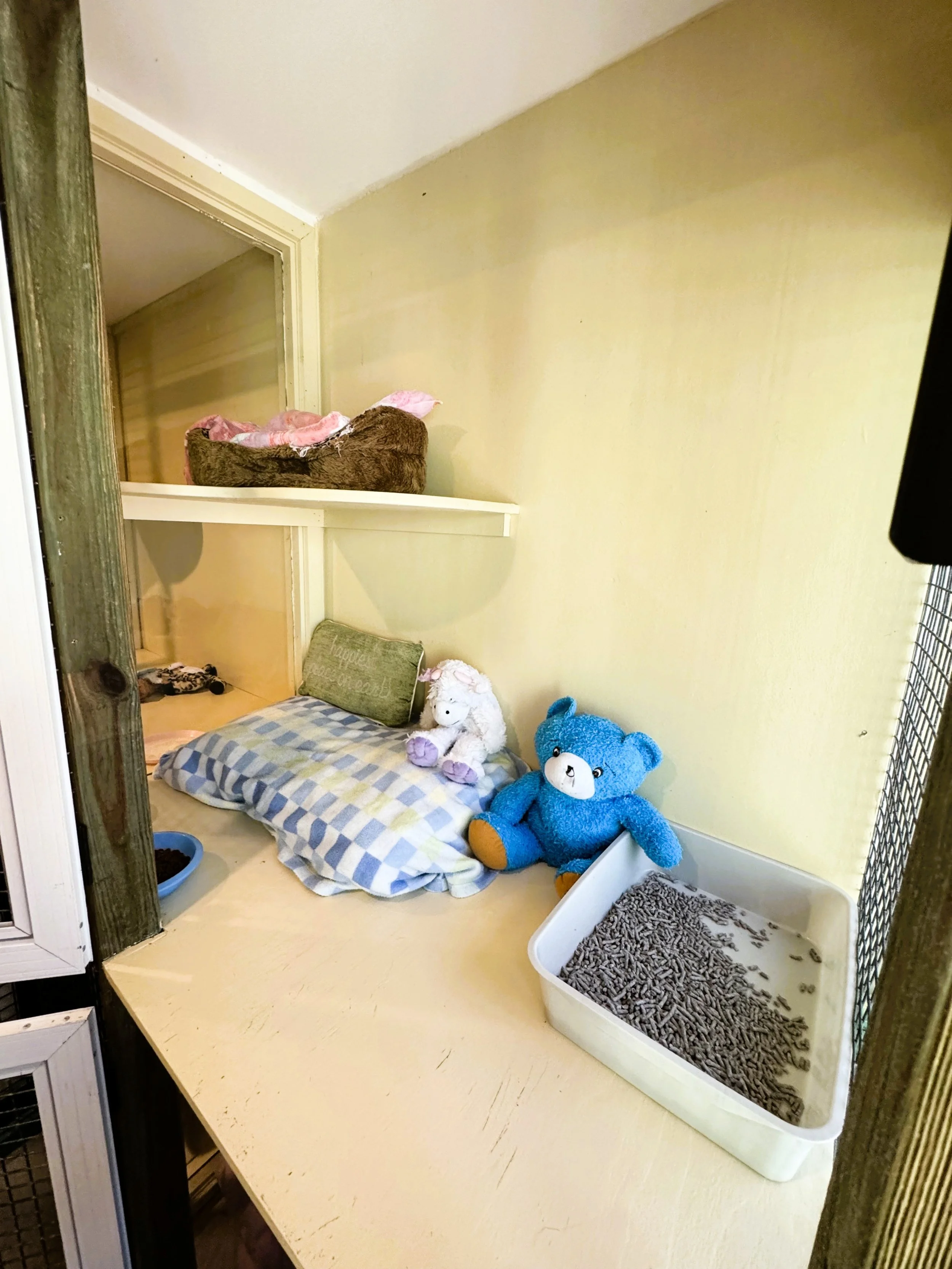 cattery enclosure close up edit.JPG