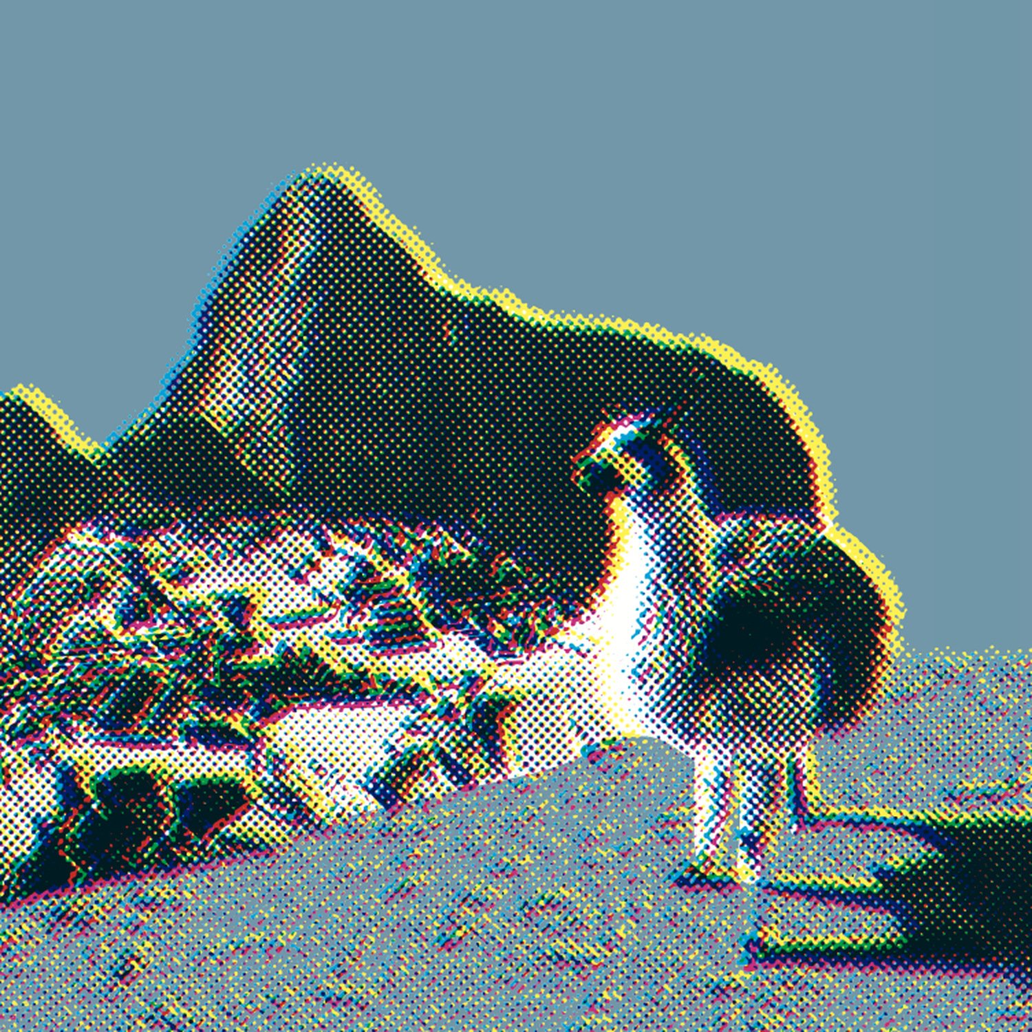 LSR_Art_Peru.jpg