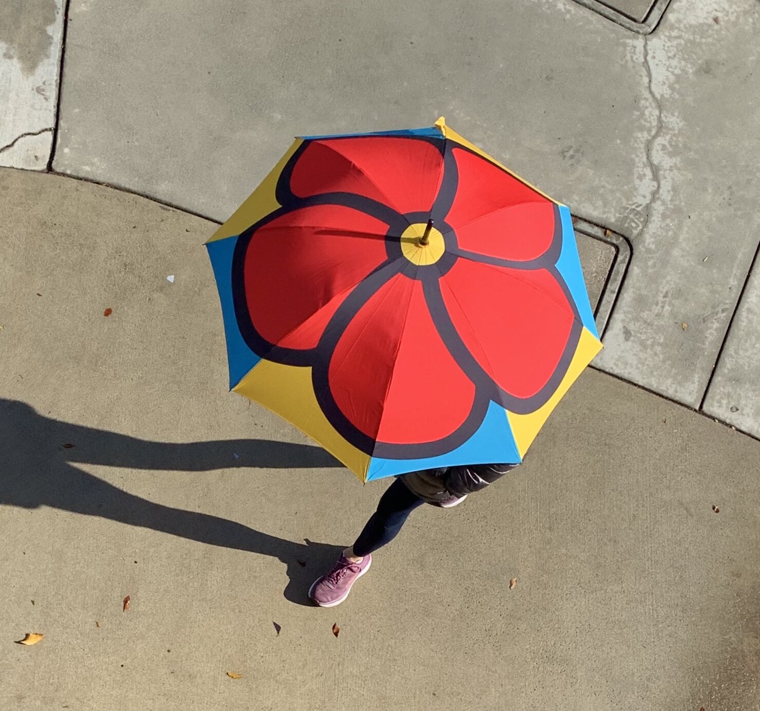 Red Floral Umbrella, 2020