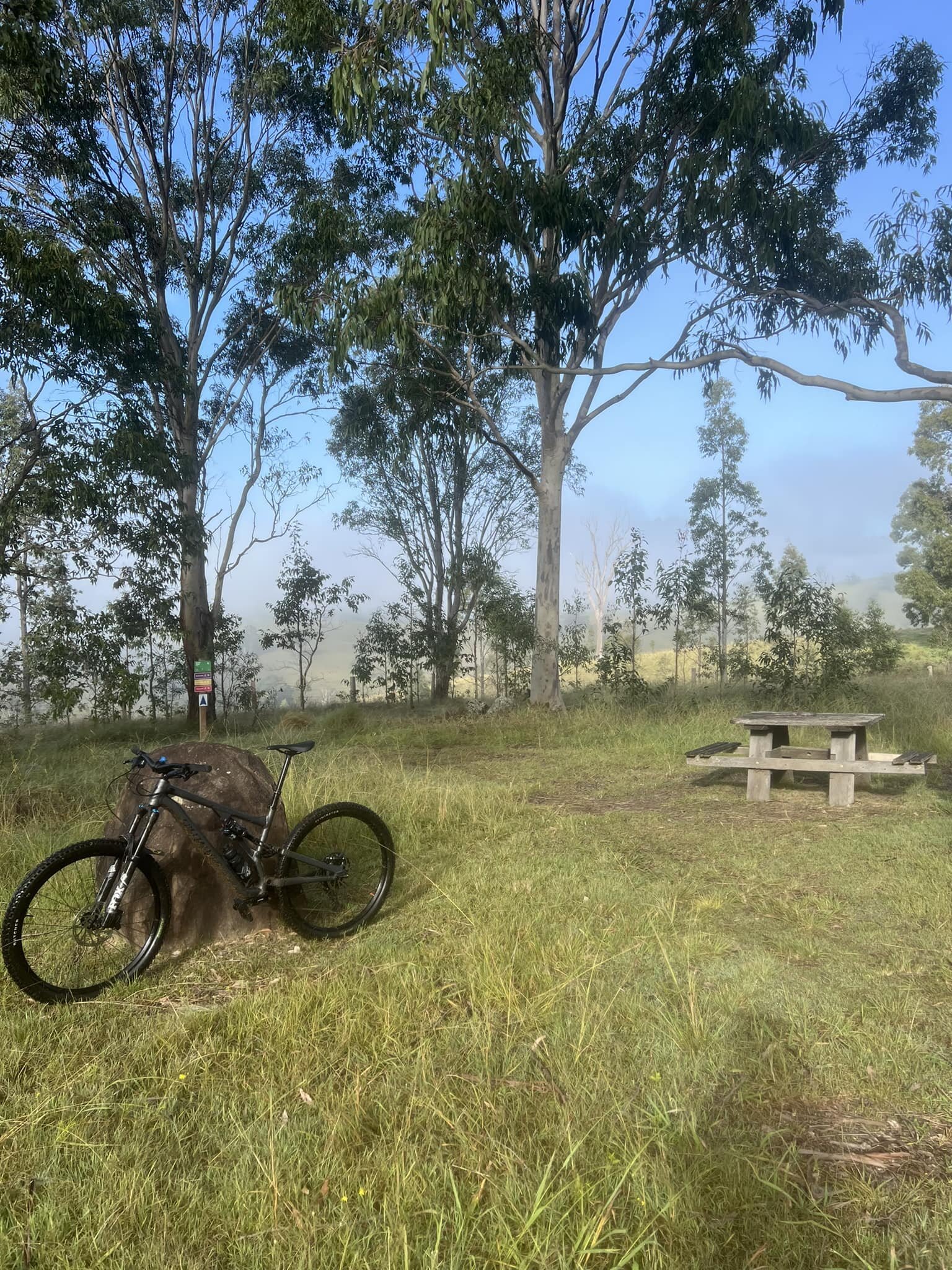 Ride Dunfog this morning, but it&rsquo;s lifting and tracks are rolling sweet.
#ridedungog #grantedridesmountainbike