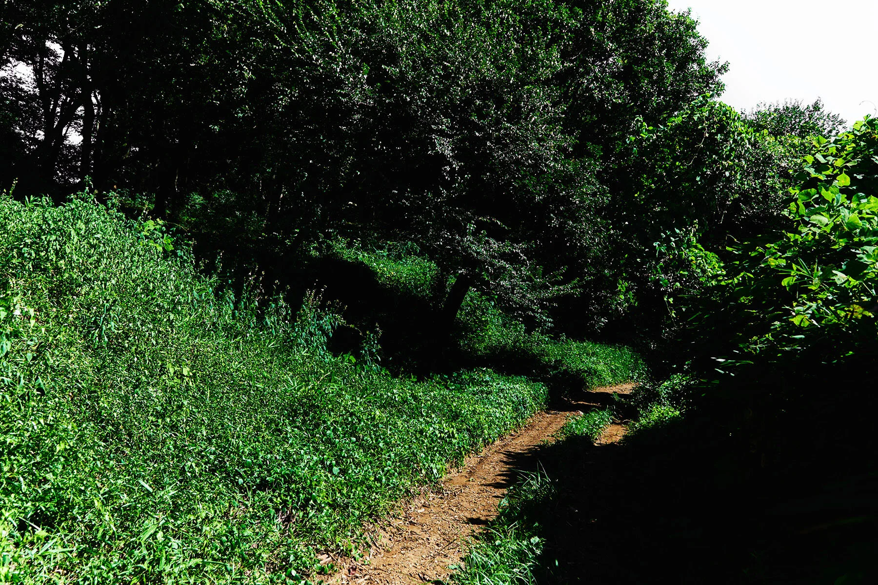 TI_photography_L_37.jpg
