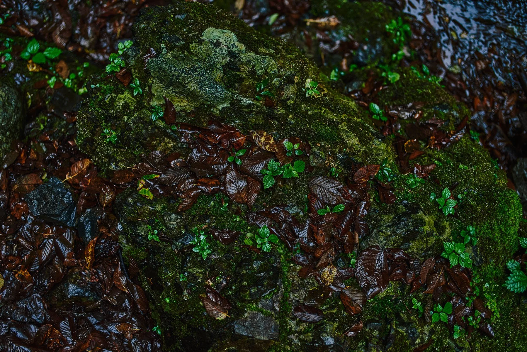 TI_photography_L_52.jpg
