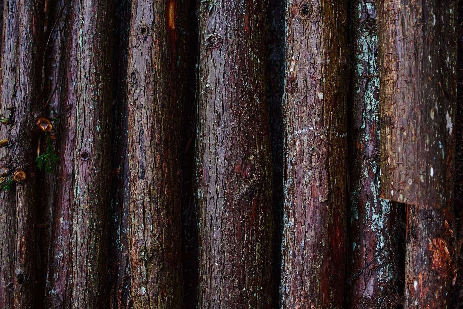 TI_photography_L_55.jpg