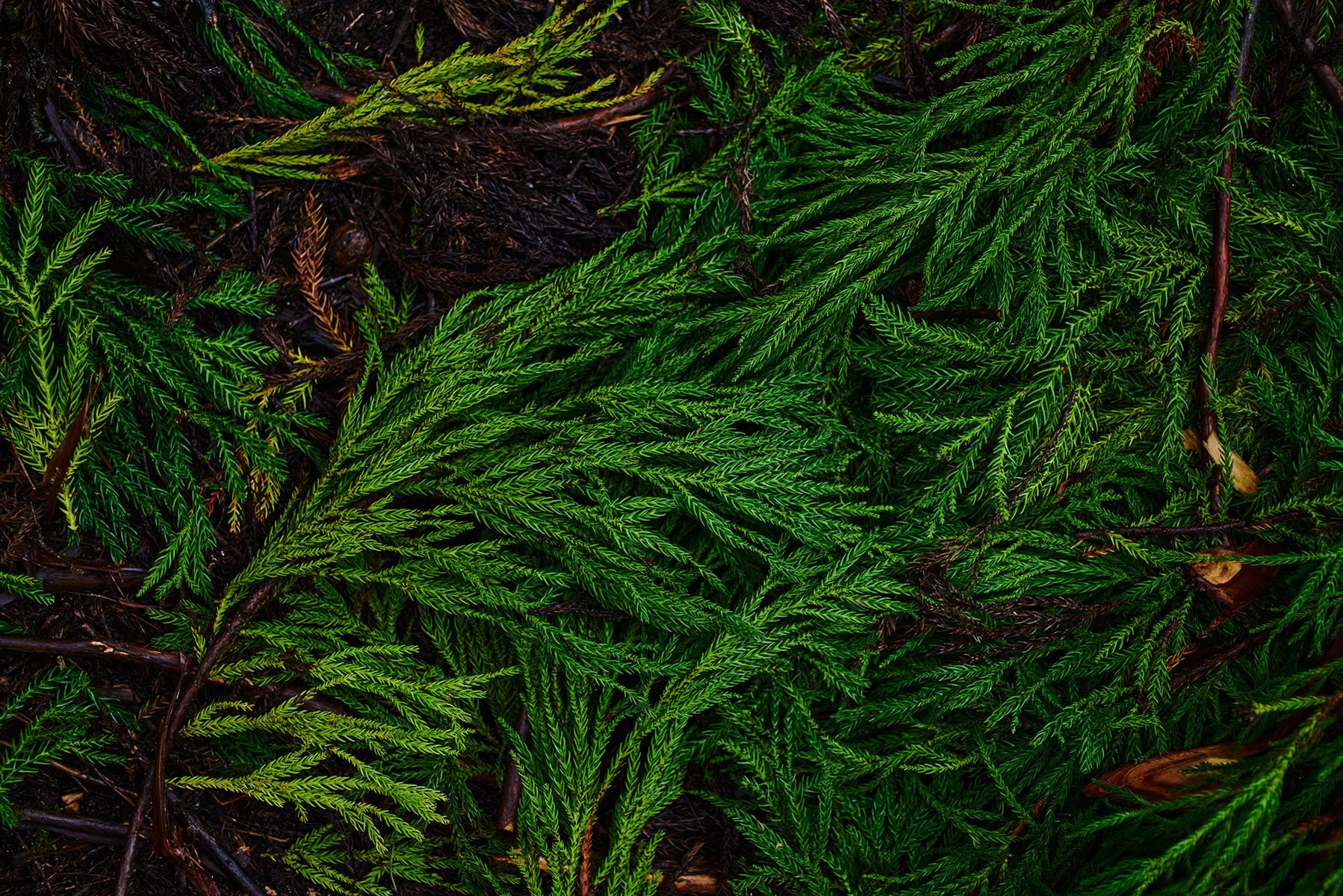 TI_photography_L_56.jpg