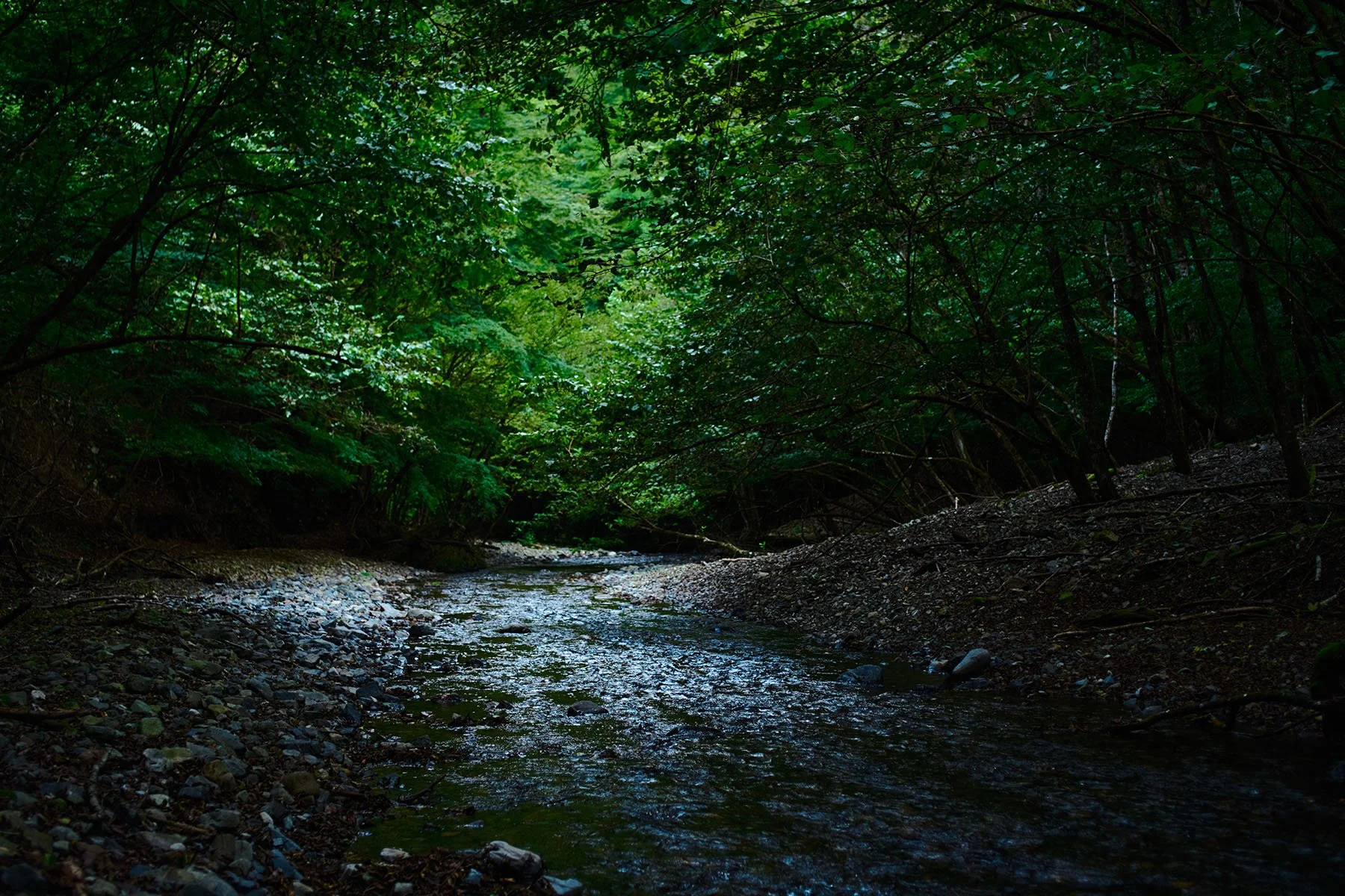 TI_photography_L_58.jpg