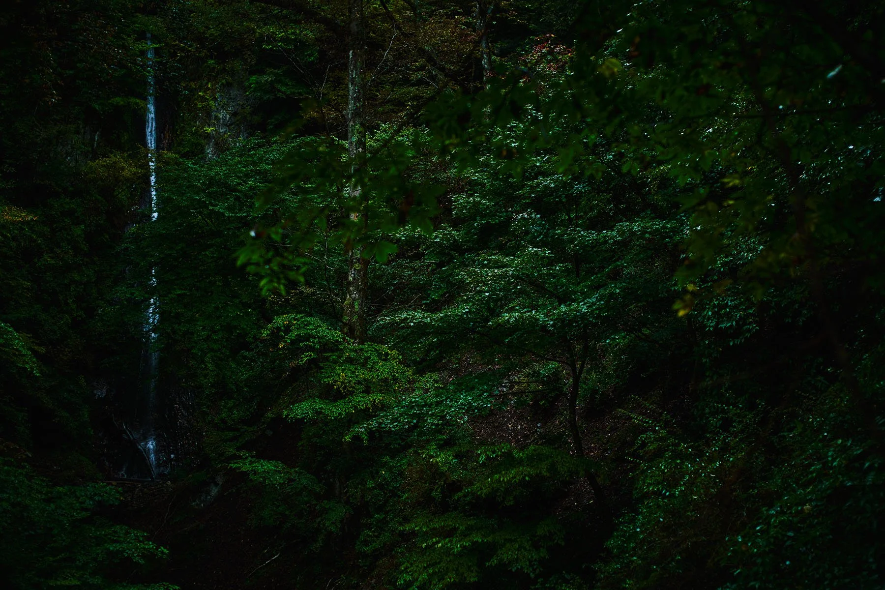 TI_photography_L_51.jpg