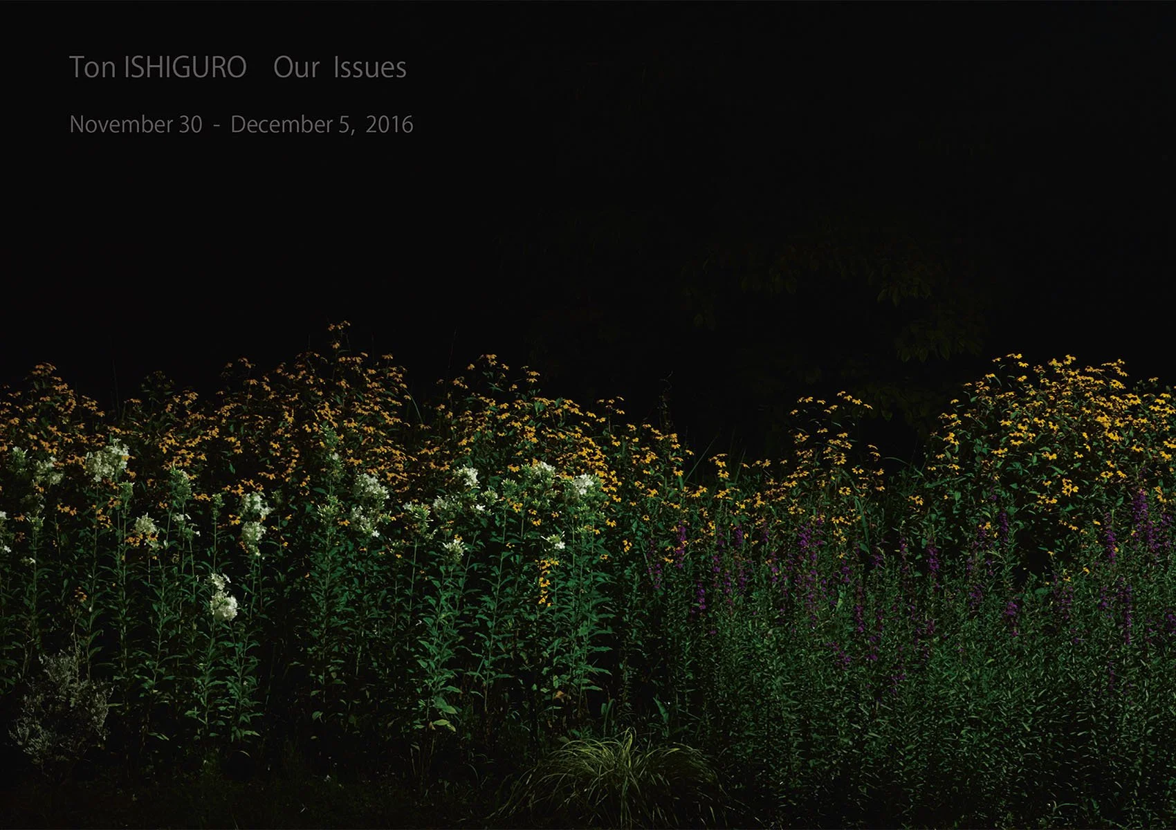 石黒惇 写真展 2016年「人間の問題」 Ton ISHIGURO "Our Issues"  Exhibition