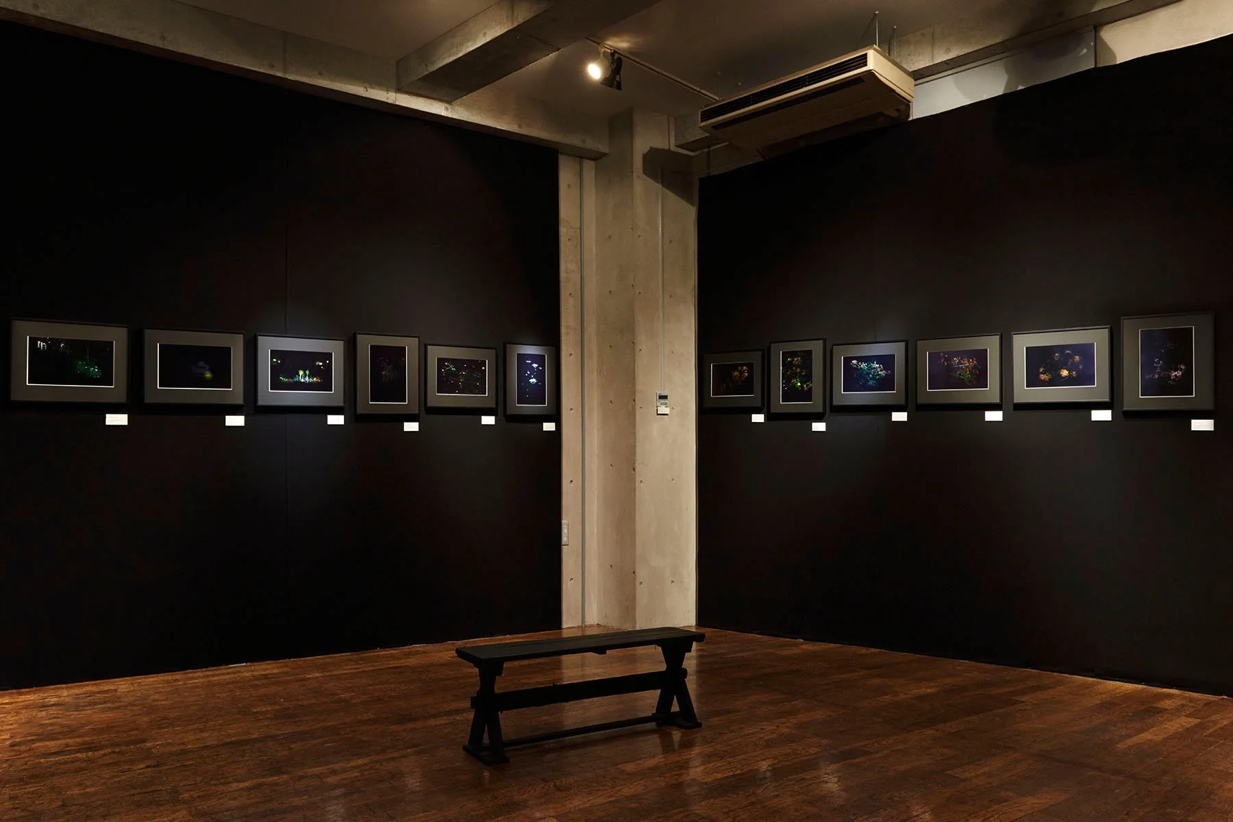 石黒惇 写真展 2016年「人間の問題」 Ton ISHIGURO "Our Issues"  Exhibition