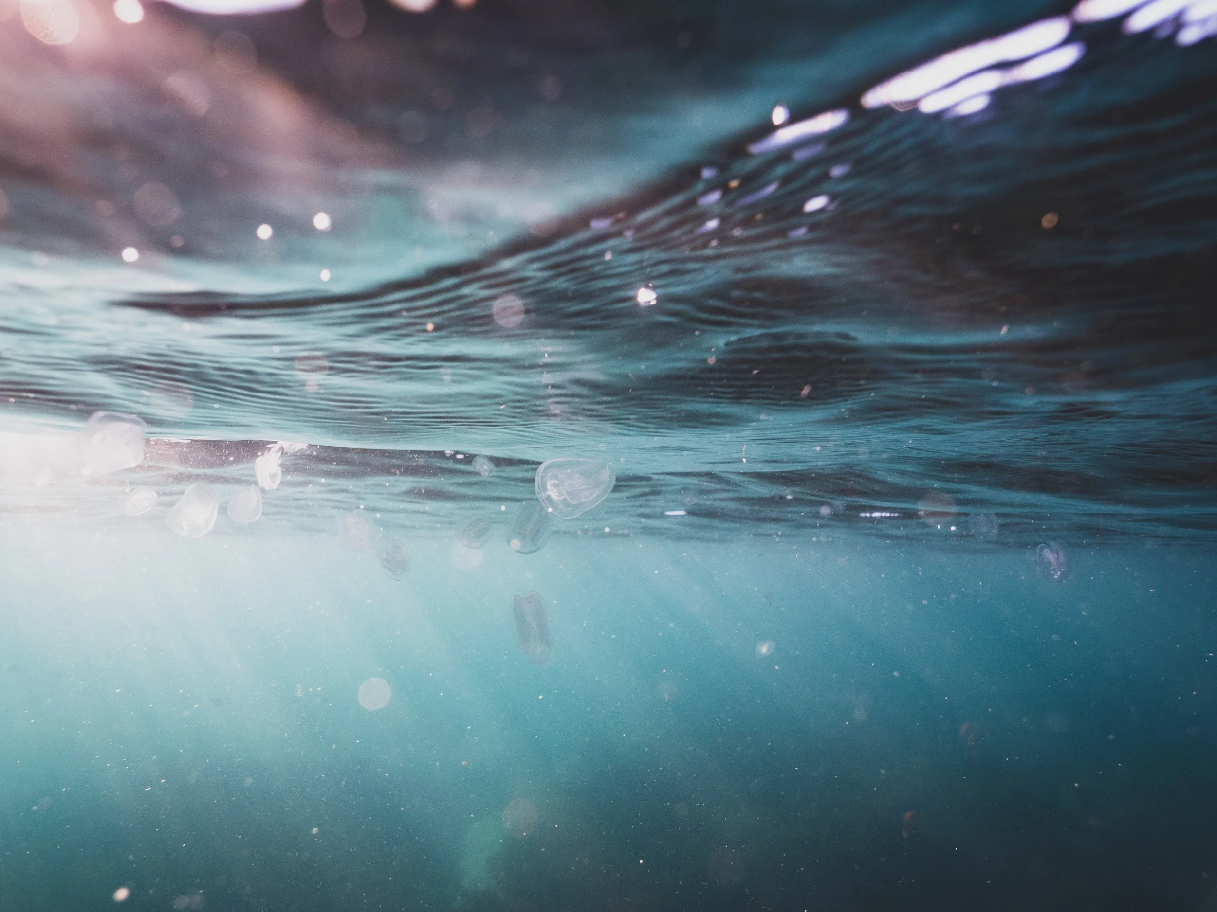 liquid light