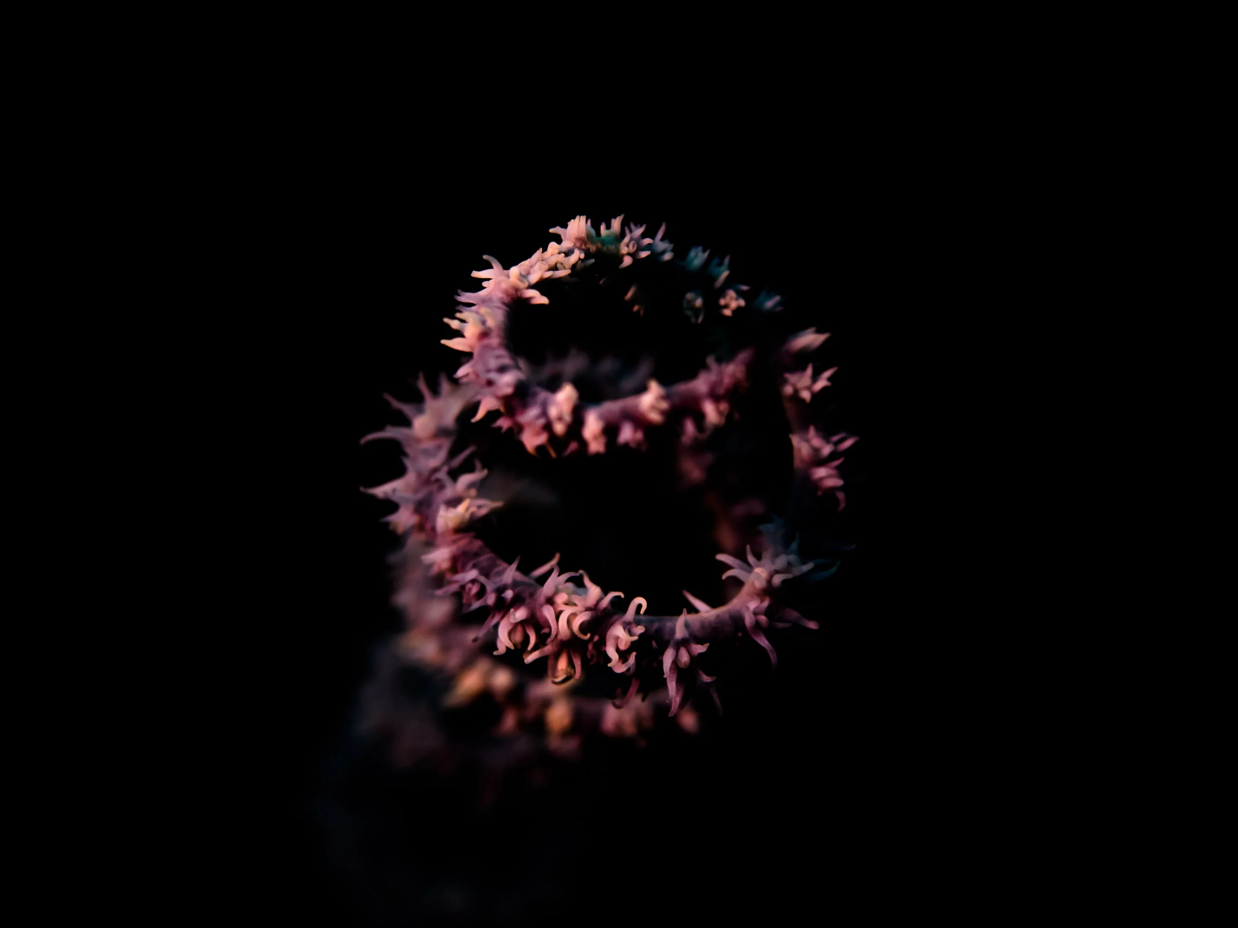 spiral