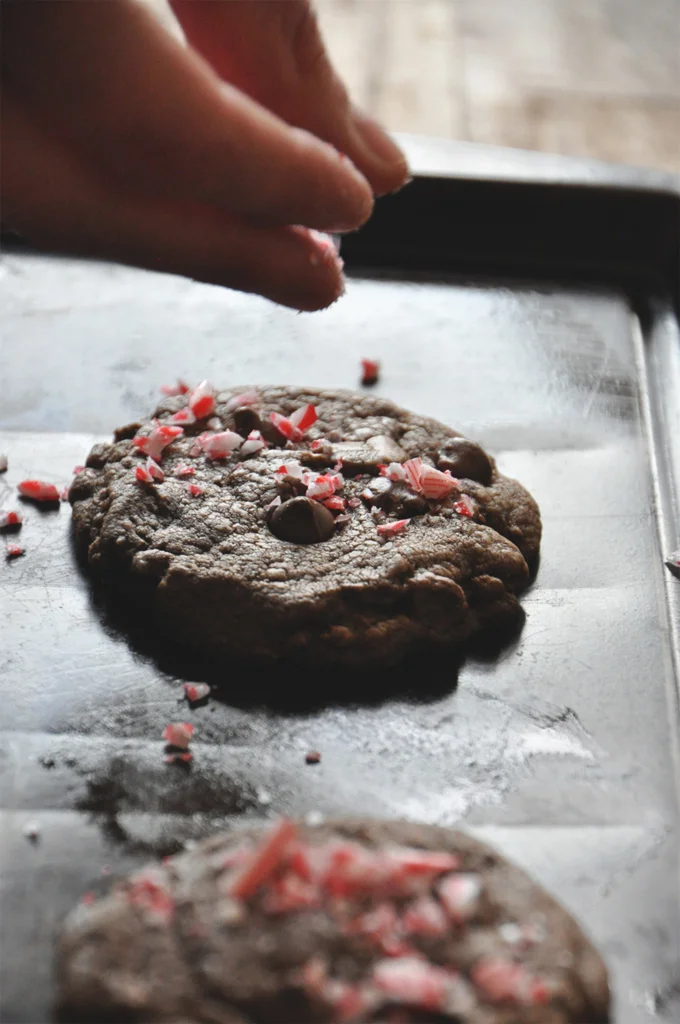 Chewy Double Chocolate Peppermint Cookies