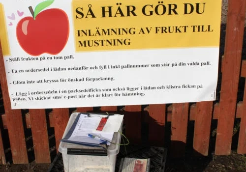 67.jpg