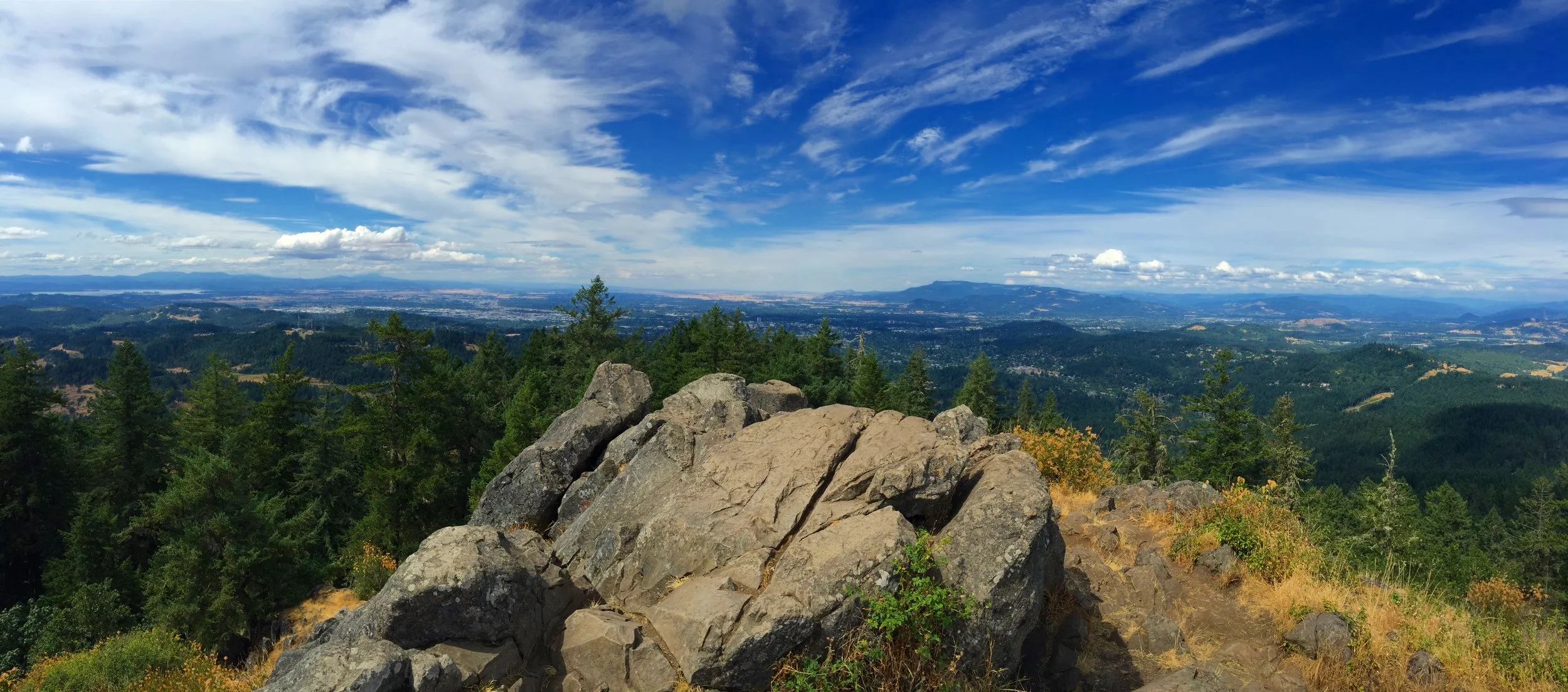 Lapiplasty® 3D Bunion Correction