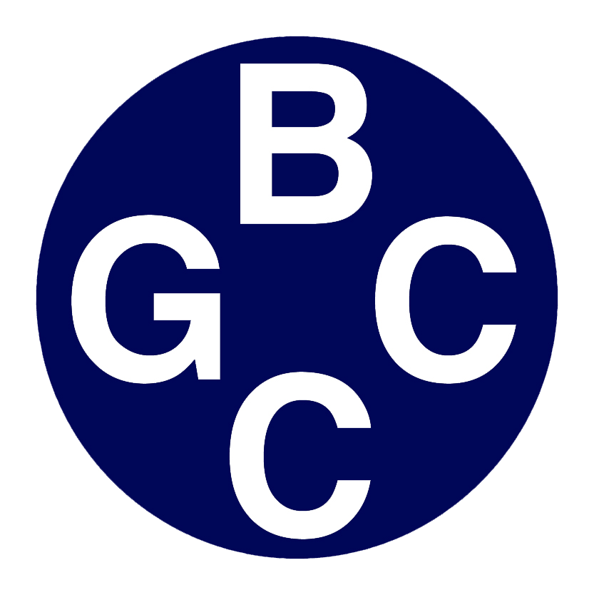 BCCG CONSULTING GMBH