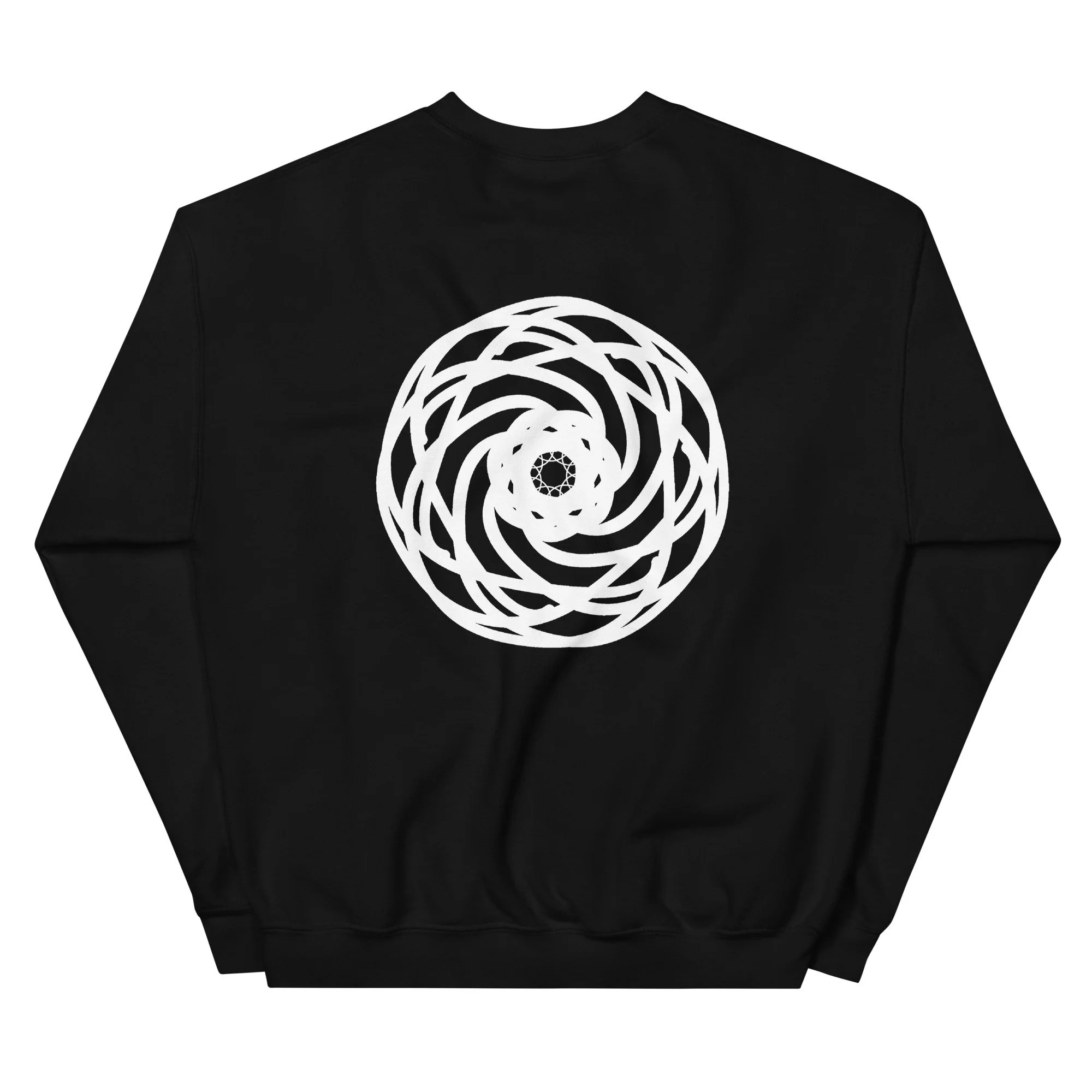 unisex-crew-neck-sweatshirt-black-back-65f7457e3de79.jpg