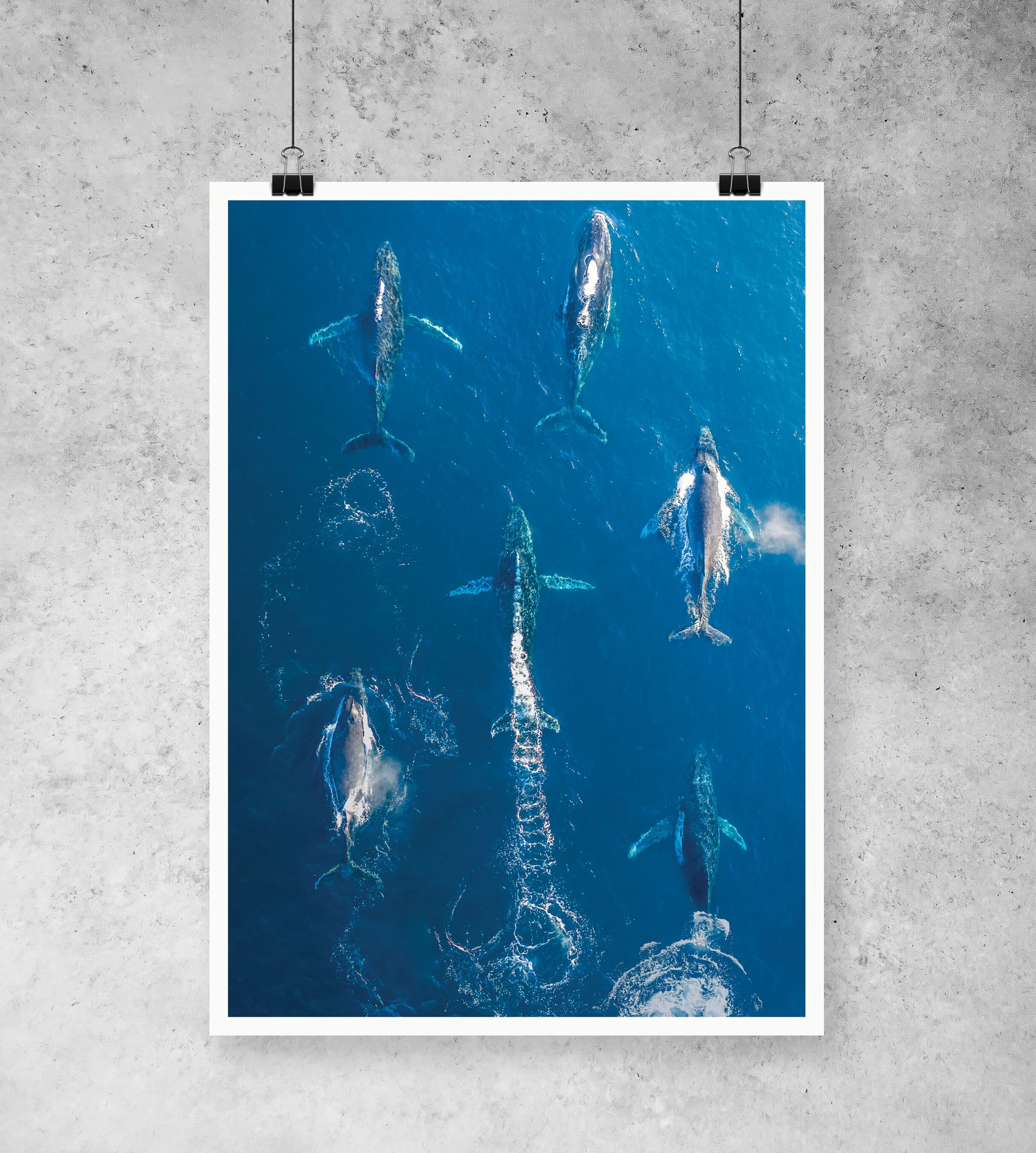 DJI_0396-HDR-Mockup.JPG