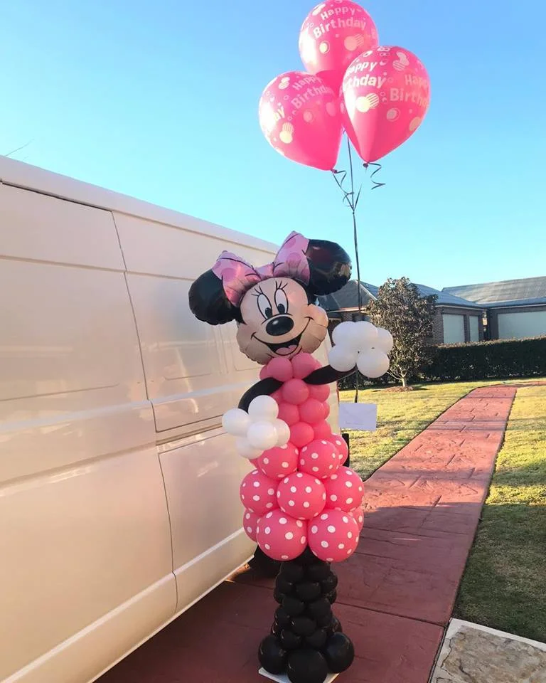minniemouse $100.jpg