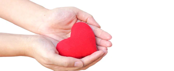 Cupped-Hands-with-red-heart-shaped-toy-1.jpg