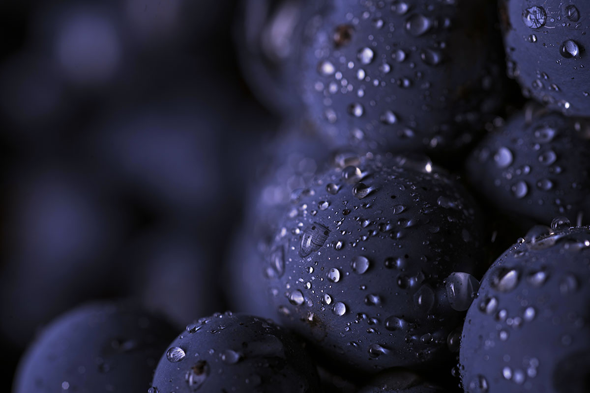 Grapes-Home.jpg