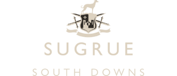 logo.png