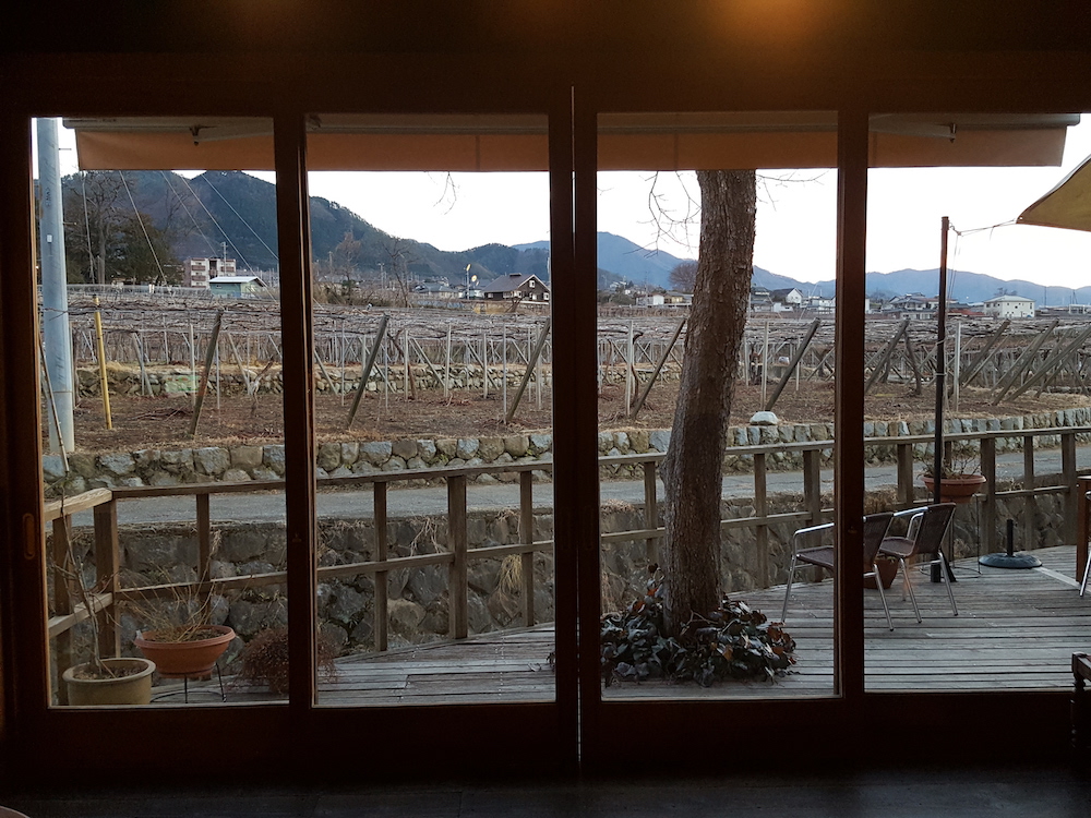 One of Katsunuma Jozo’s vineyards