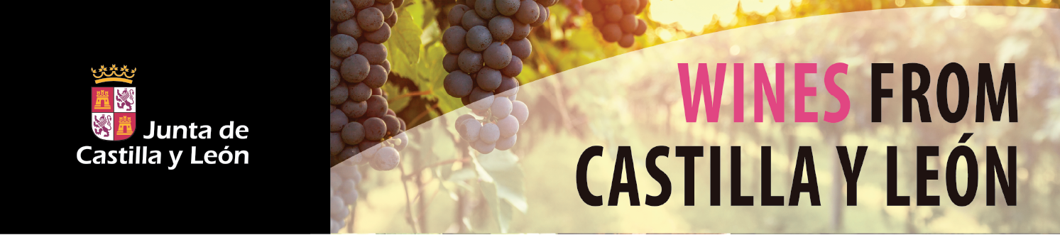 JCYL-Web banner#2.png