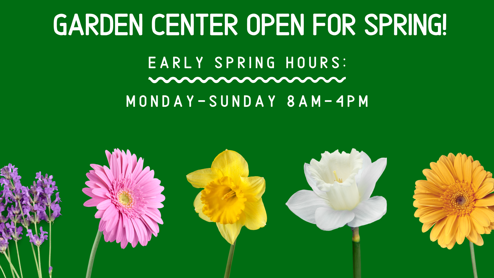 Leider Greenhouses — Leider Greenhouses and Garden Center