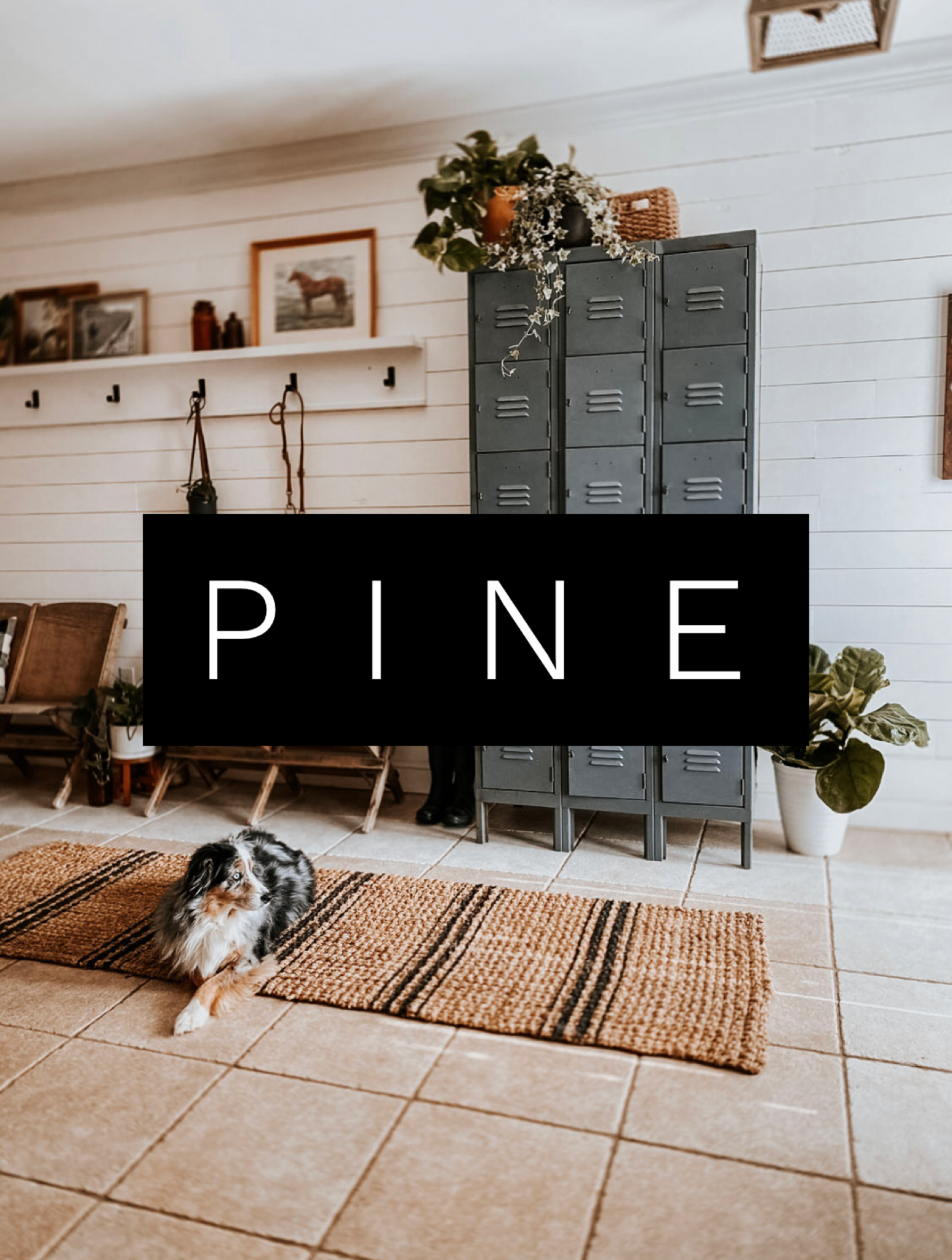 2BD1BD48-8E02-4B13-9A25-ED350C754B72