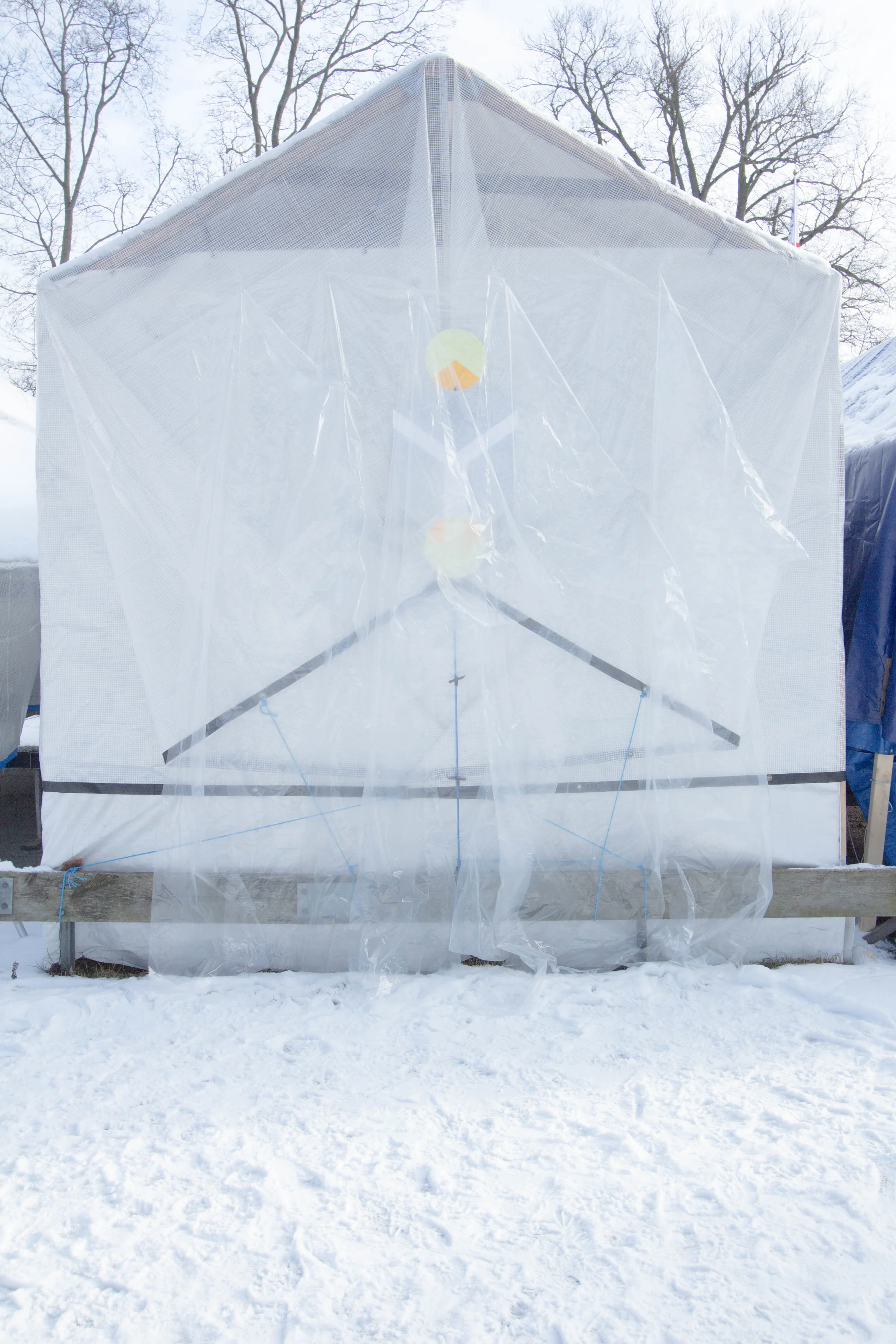 albedo - den vita fasen1.jpg