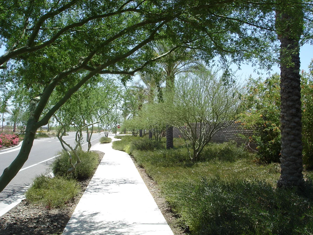 VISTANCIA STREETSCAPE