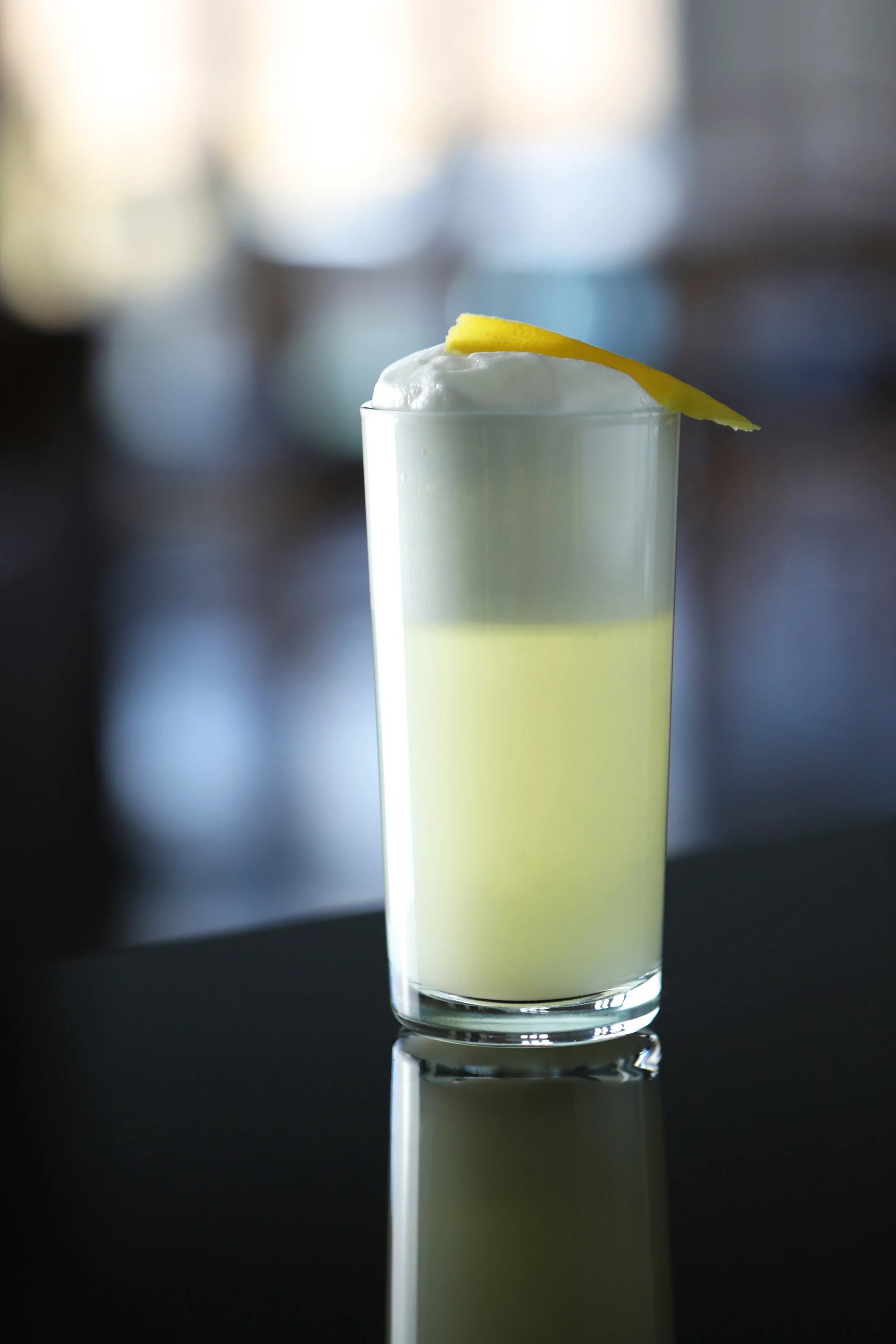 ginfizzportriat.jpg