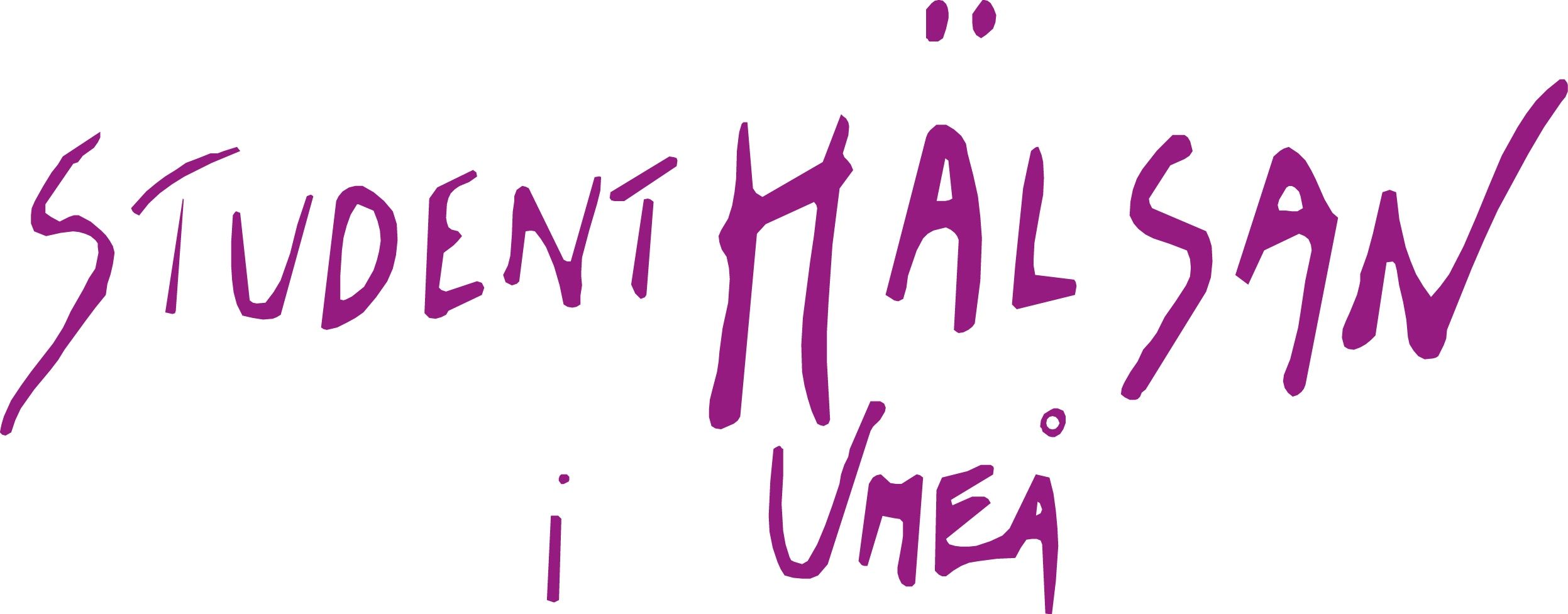 Stiftelsen studenthälsan.png