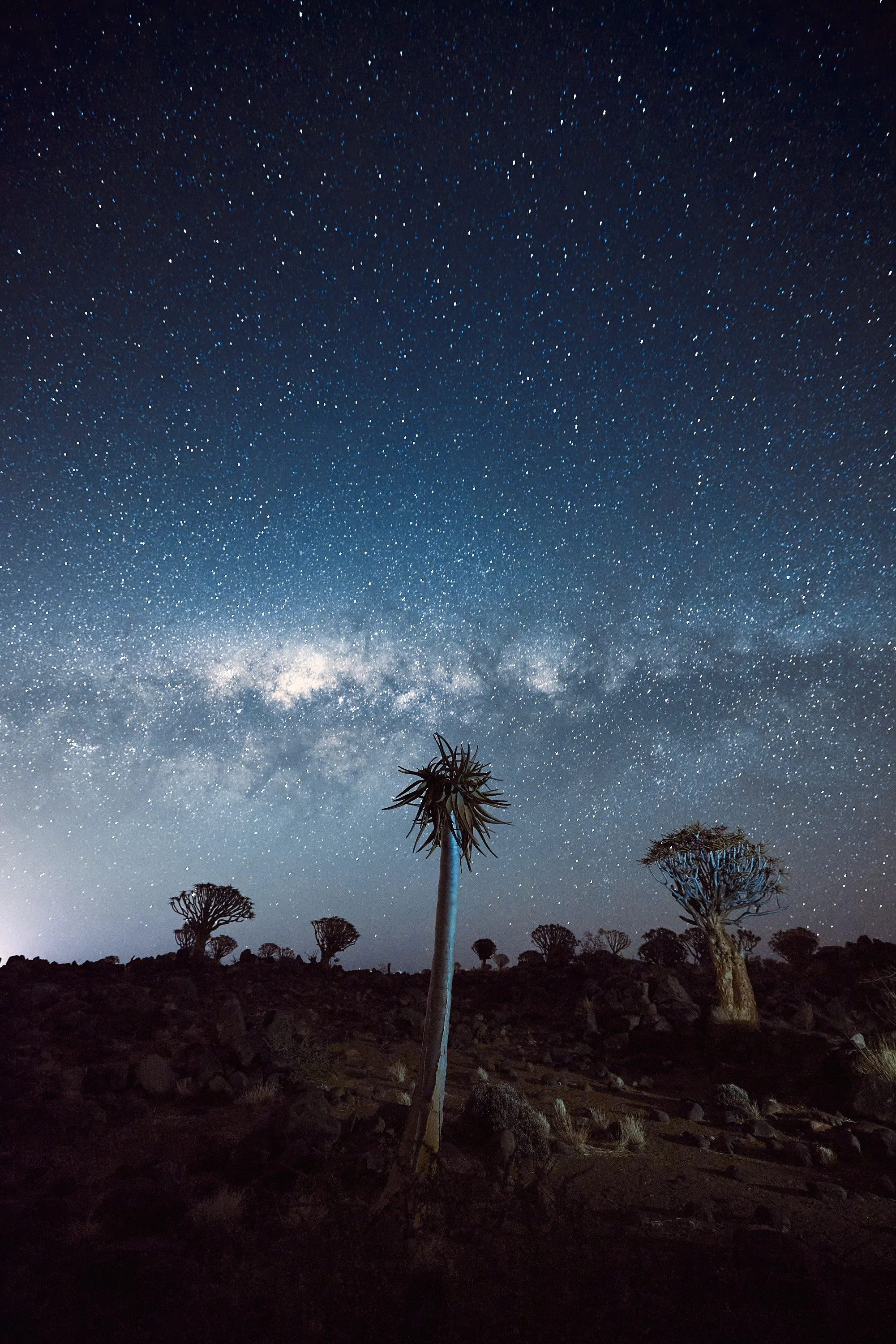 Stargazing Secrets: Mastering Night Photography in Namibia’s Quiver Tree Forest