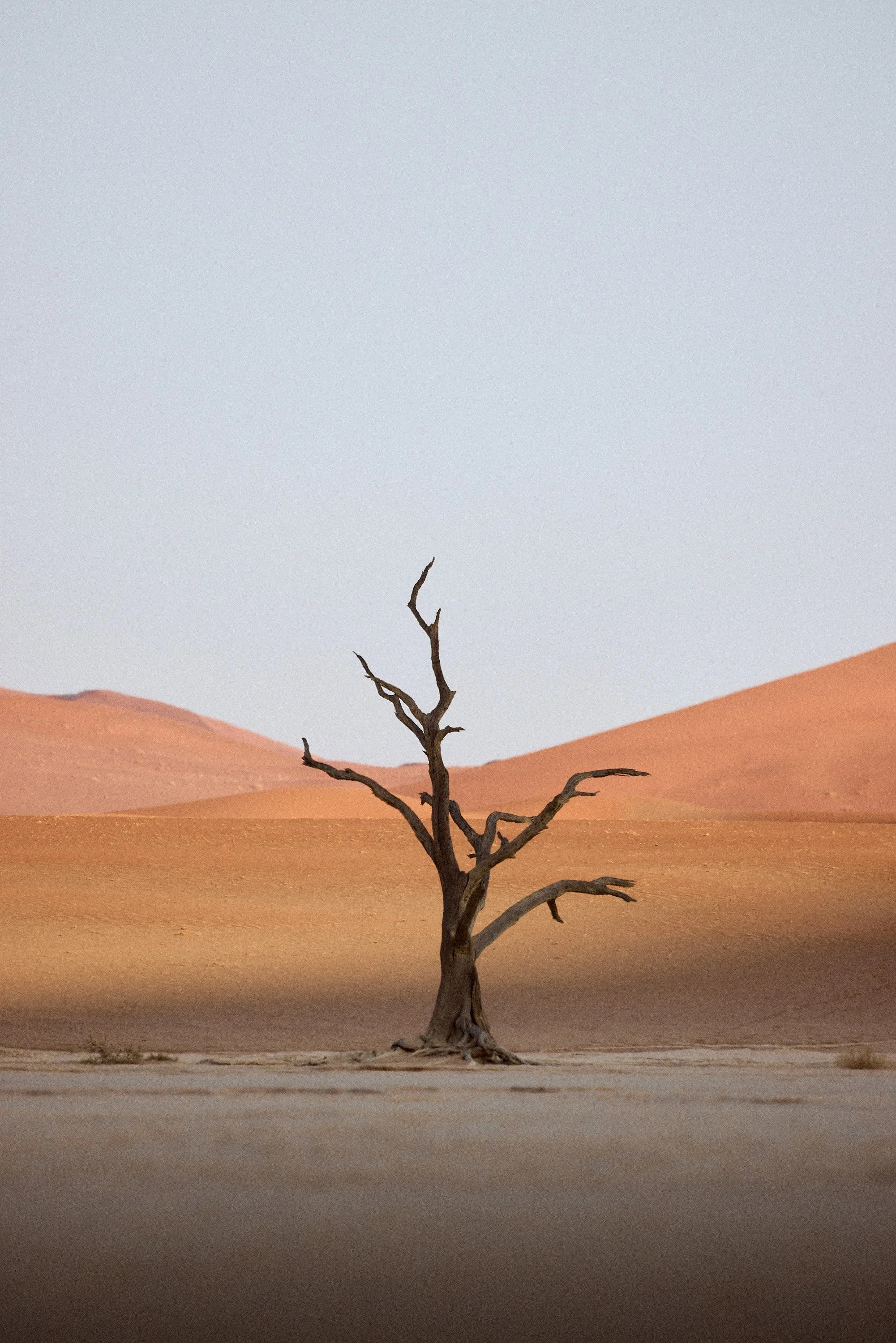 Chasing Shadows at Sossusvlei: Fine‑Tuning Exposure and Composition Among Namibia’s Dunes