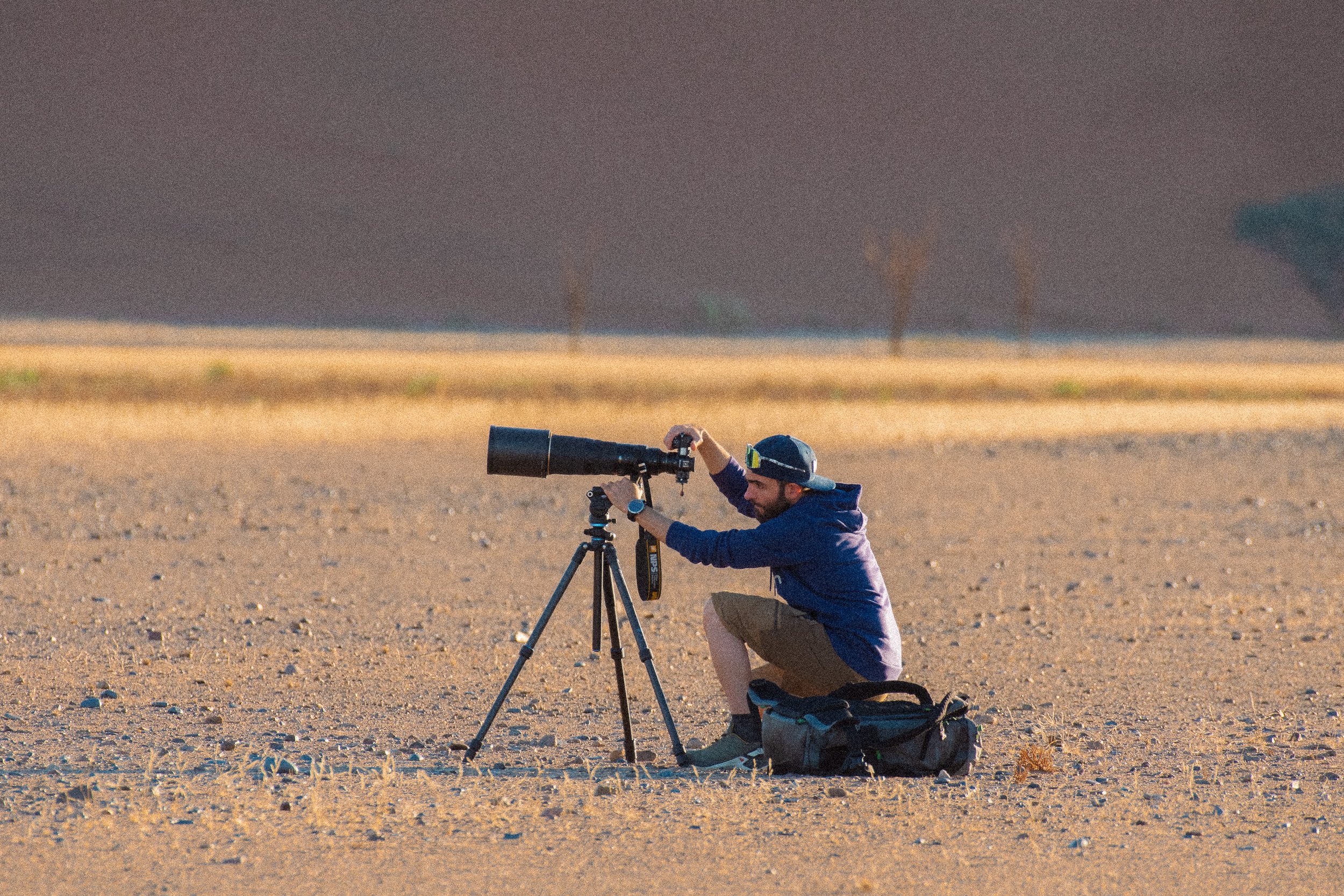 Tripods and Supports for Wildlife Photography: 2026 Edition