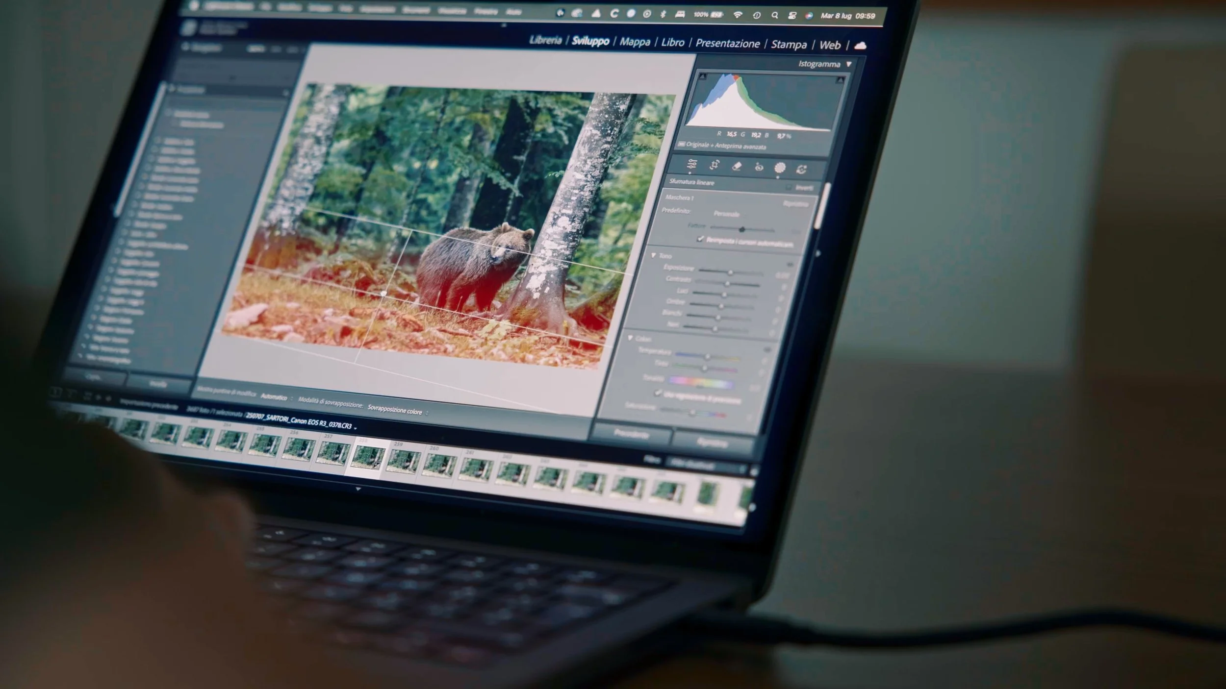 Harnessing AI: Computational Photography Tools for Wildlife Photographers in 2026