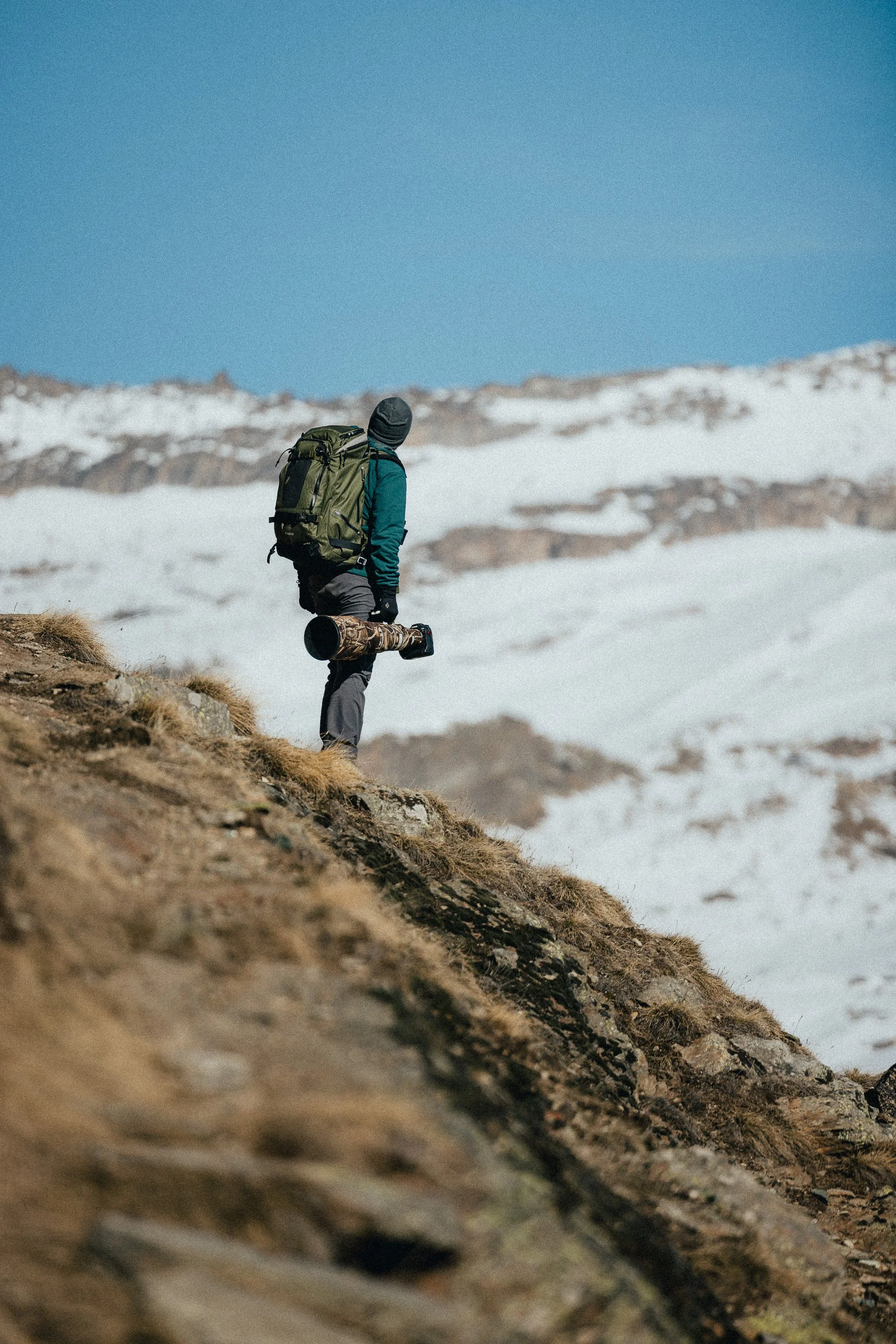 The Unsung Heroes: Essential Accessories for Wildlife Photography in 2026