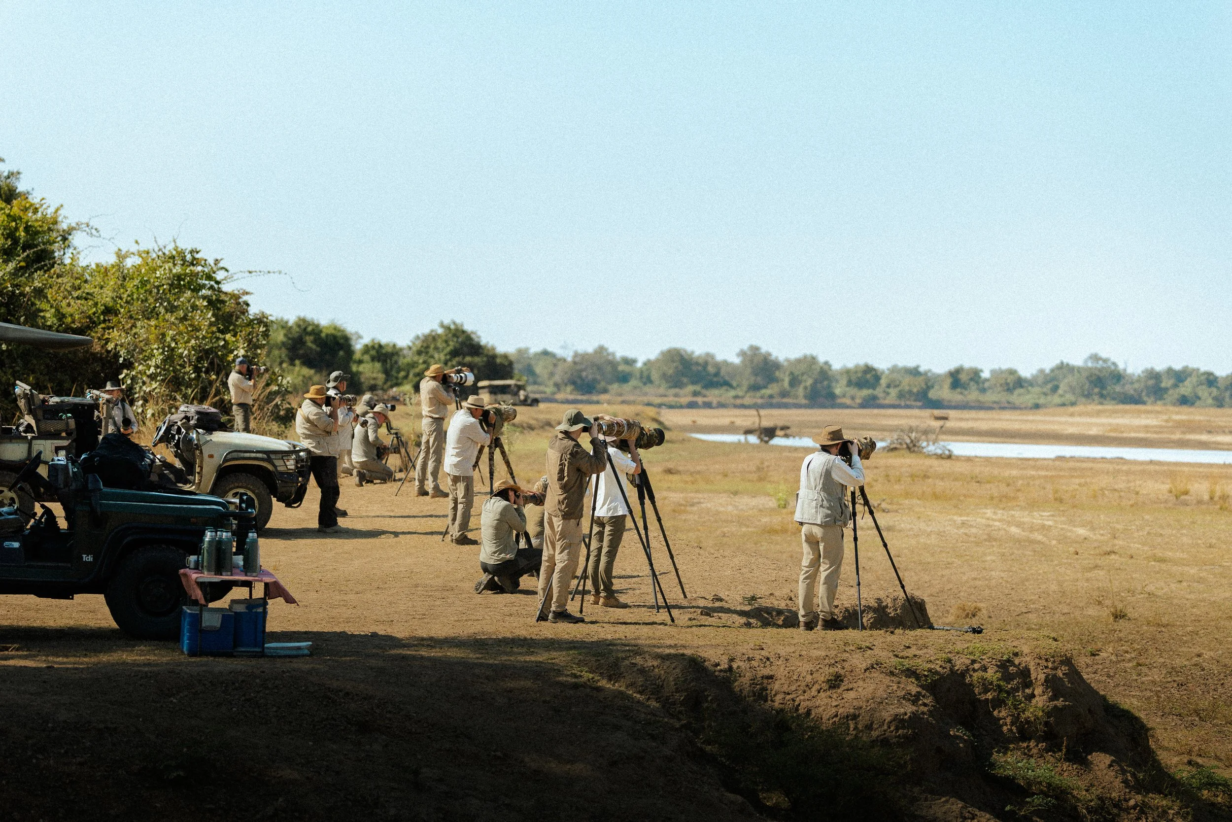 Ethics in Wildlife Photography: Beyond the Basics